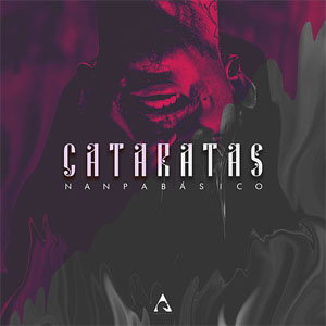 Disco Cataratas de Nanpa Básico