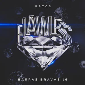 Disco Flawless de Natos y Waor