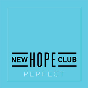 Disco Perfect de New Hope Club