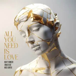 Disco All You Need Is Love  de Nicky Romero