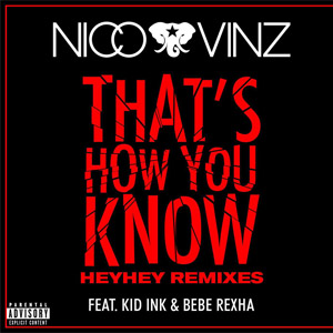 Disco That's How You Know (Heyhey Remixes) de Nico y Vinz