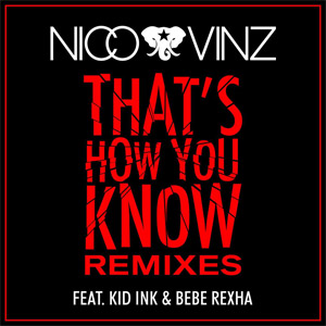 Disco That's How You Know (Remixes) de Nico y Vinz