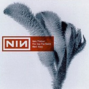 Disco The Day The World Went Away de Nine Inch Nails 