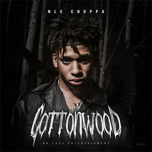 Disco Cottonwood de NLE Choppa