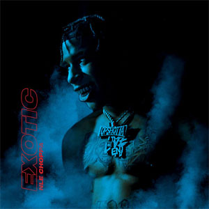 Disco Exotic de NLE Choppa