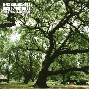 Disco The Dying Of The Light de Noel Gallagher