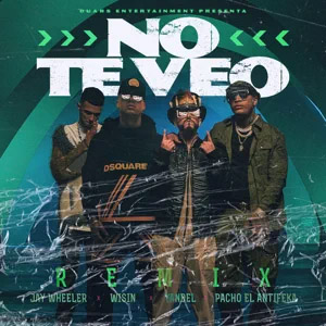 Disco No Te Veo (Remix)  de Pacho El Antifeka