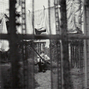 Disco Chaos And Creation In The Backyard de Paul McCartney