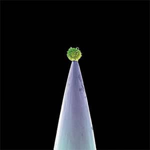 Disco New Blood de Peter Gabriel