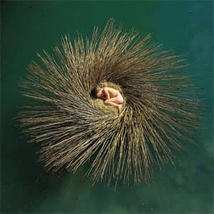 Disco OVO de Peter Gabriel