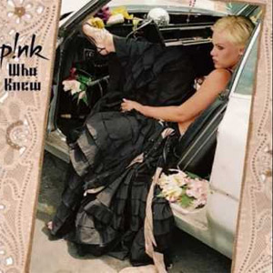 Disco Who Knew (Bimbo Jones Club Mix) de Pink