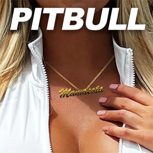 Disco Mamasota de Pitbull