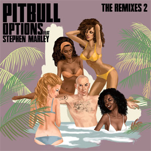 Disco Options (The Remixes 2) de Pitbull