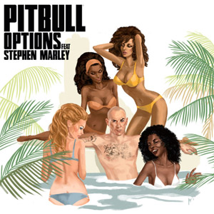 Disco Options de Pitbull