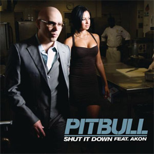 Disco Shut It Down de Pitbull