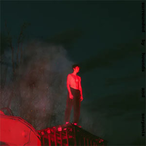 Disco Washing Off The Blood  de Powfu