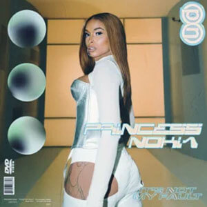 Disco It's Not My Fault de Princess Nokia