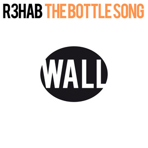 Disco The Bottle Song de R3hab