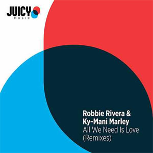 Disco All We Need Is Love (Remixes) de Robbie Rivera