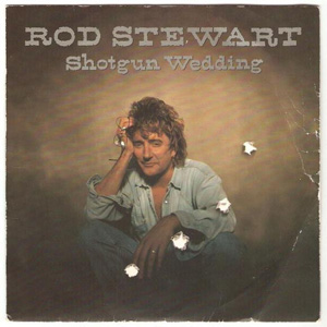 Disco Shotgun Wedding de Rod Stewart
