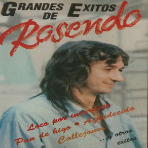 Disco Grandes Éxitos de Rosendo Mercado