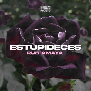 Disco Estupideces de Rub Amaya