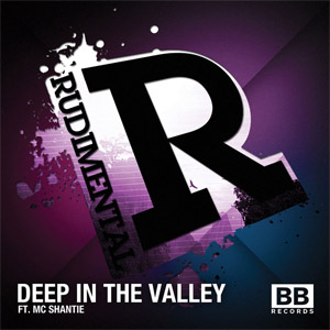 Disco Deep In The Valley de Rudimental