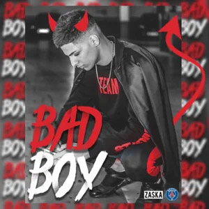 Disco Bad Boy de RVFV