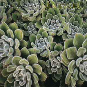 Disco Wonderwall de Ryan Adams