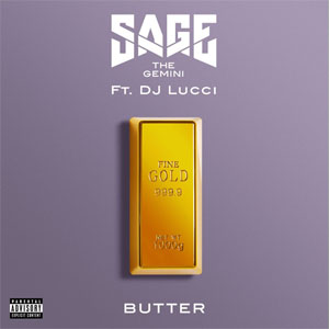 Disco Butter de Sage The Gemini