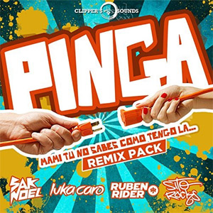 Álbum Pinga (The Remix Pack) de Sak Noel