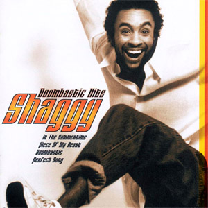 Disco Boombastic Hits de Shaggy