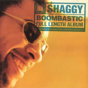 Disco Boombastic de Shaggy