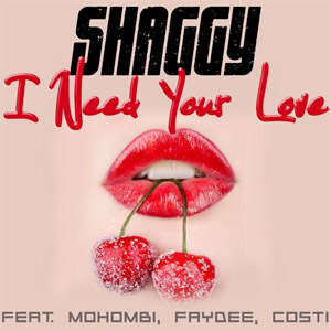 Disco I Need Your Love de Shaggy