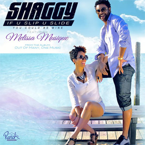 Disco If U Slip U Slide (You Could Be Mine) de Shaggy