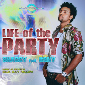 Disco Life Of The Party de Shaggy