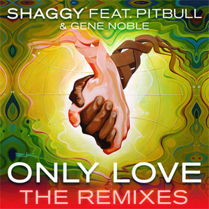 Disco Only Love (The Remixes) de Shaggy