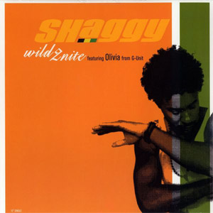 Disco Wild 2nite de Shaggy