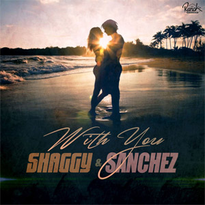 Disco With You de Shaggy