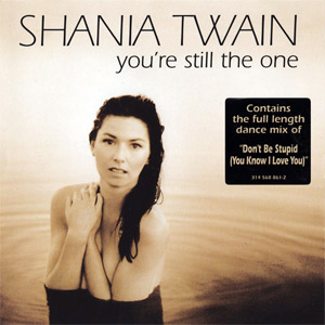Disco You're Still The One de Shania Twain