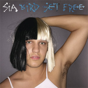 Disco Bird Set Free de Sia