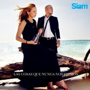 Disco Las Cosas Que Nunca Nos Dijimos de Siam