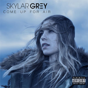 Disco Come Up For Air de Skylar Grey