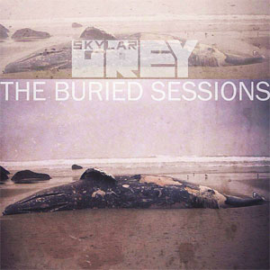 Disco The Buried Sessions de Skylar Grey