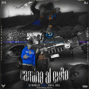 Disco Camino al Éxito de Standly