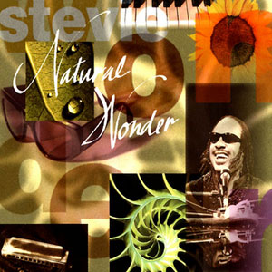 Disco Natural Wonder de Stevie Wonder