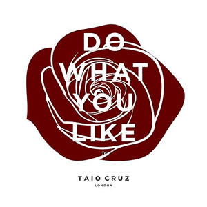 Disco Do What You Like de Taio Cruz