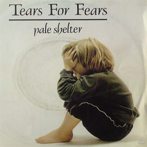 Disco Pale Shelter de Tears for Fears