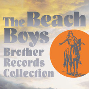 Disco Brother Records Collection de The Beach Boys