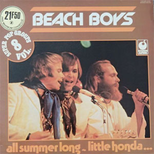 Disco Super Pop Groups Vol. 8 de The Beach Boys